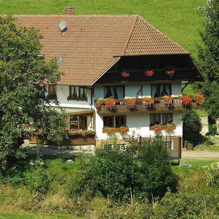 Apartmán Schusselehof Oberprechtal Exteriér fotografie